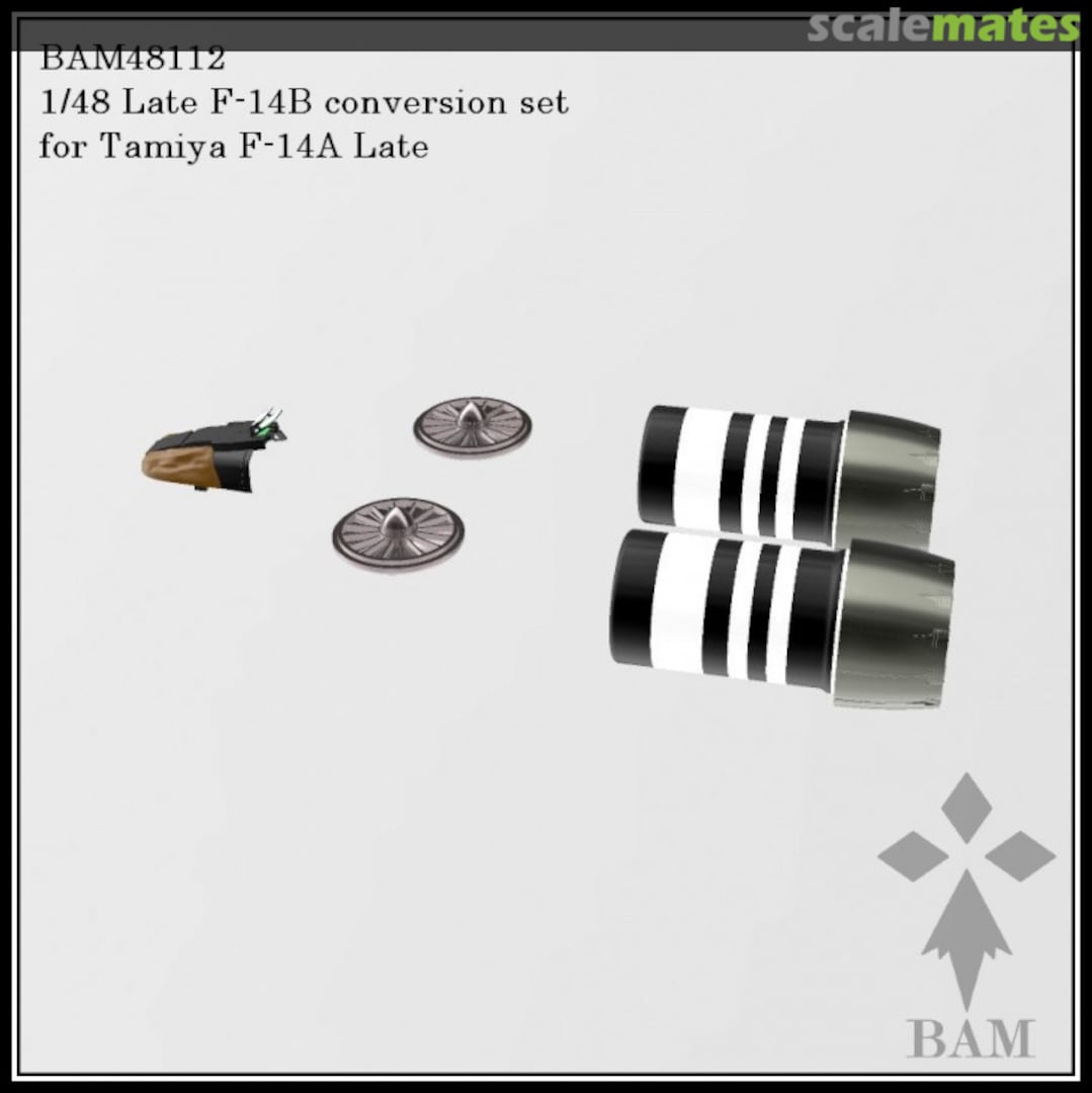 Boxart Late F-14B full conversion set 48112 BAM Models Boxart Late F-14B full conversion set 48112 BAM Models