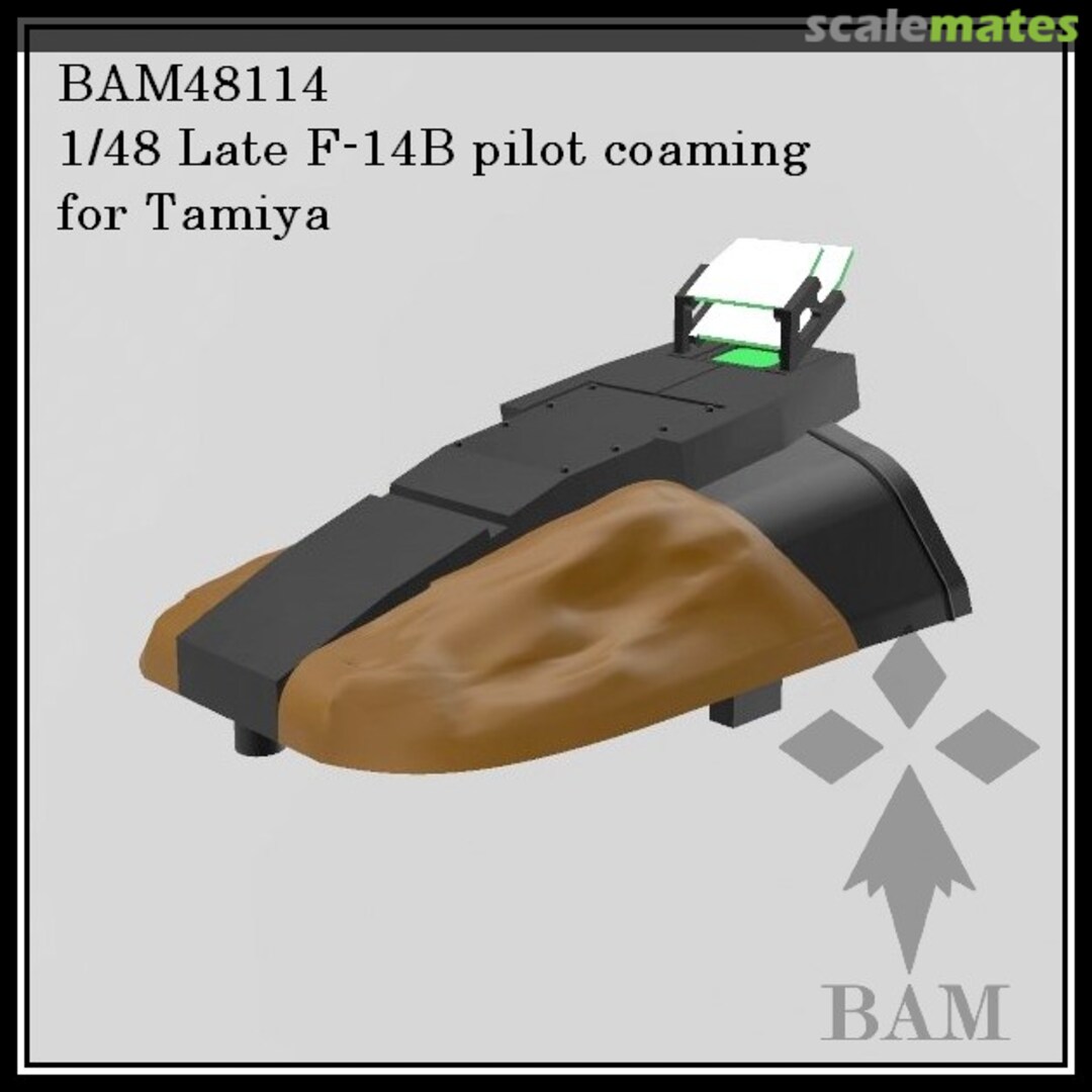 Boxart Late F-14B Tomcat pilot coaming (SparrowHawk HUD) 48114 BAM Models Boxart Late F-14B Tomcat pilot coaming (SparrowHawk HUD) 48114 BAM Models