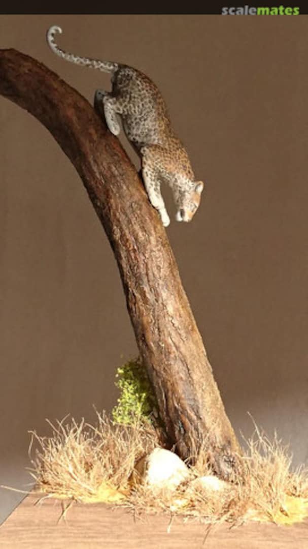 Boxart Leopard  Bouts de brousse