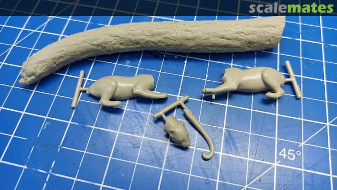 Contents Leopard  Bouts de brousse