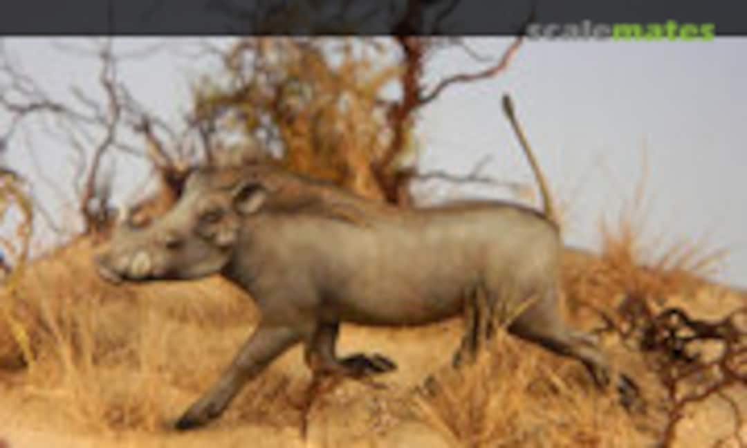 54mm Warthog (Bouts de brousse )