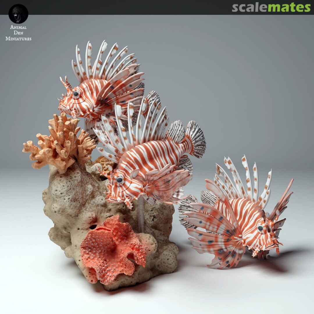 Boxart Fish - red lionfish - 11-12 mm (12 pieces) 99161103-11 EMP3d Boxart Fish - red lionfish - 11-12 mm (12 pieces) 99161103-11 EMP3d