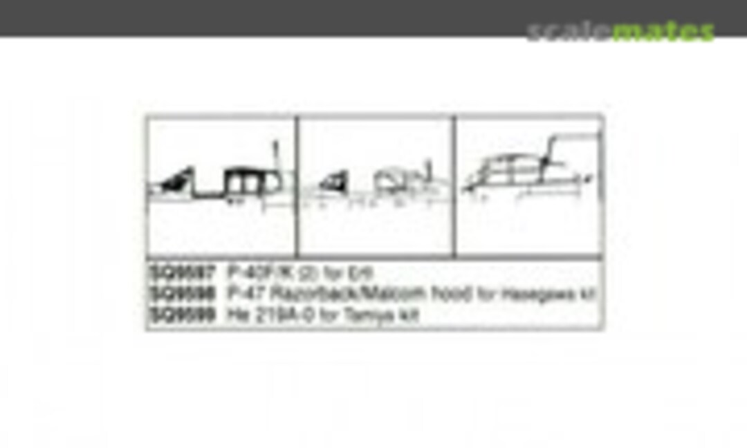 1:48 Curtiss P-40F/K (Squadron Products 9597) 9597