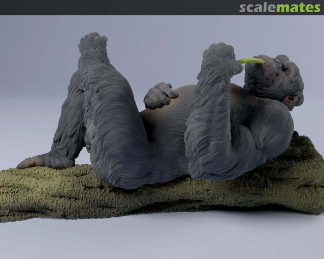 Boxart Chimpanzee - lying on tree/log 72130241 EMP3d Boxart Chimpanzee - lying on tree/log 72130241 EMP3d