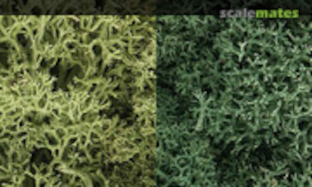 1:160 LICHEN LIGHT GREEN MIX (Woodland Scenics L167) L167