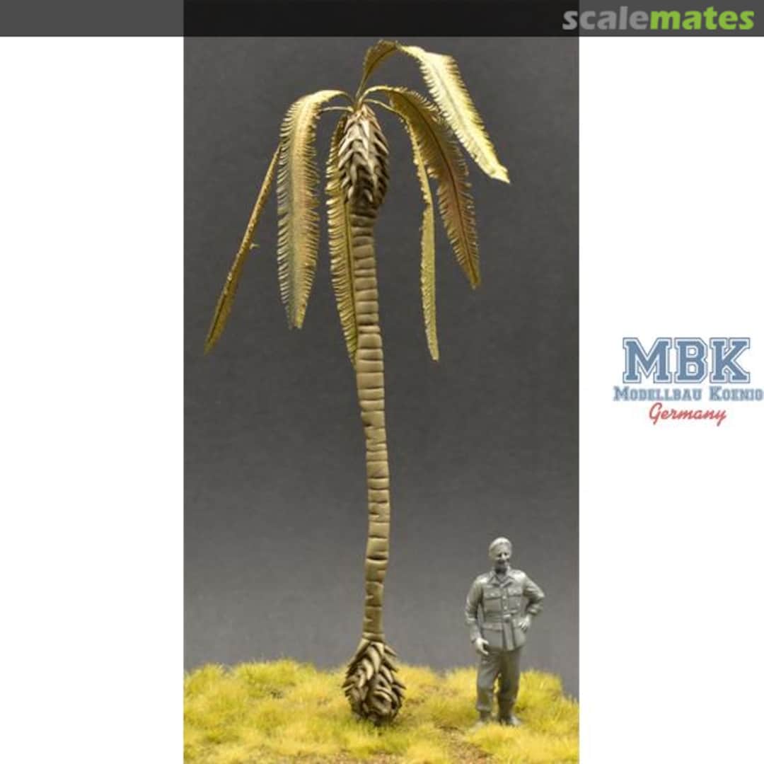 Boxart Large dead Palm tree - 17cm PALM09 Reality in Scale Boxart Large dead Palm tree - 17cm PALM09 Reality in Scale