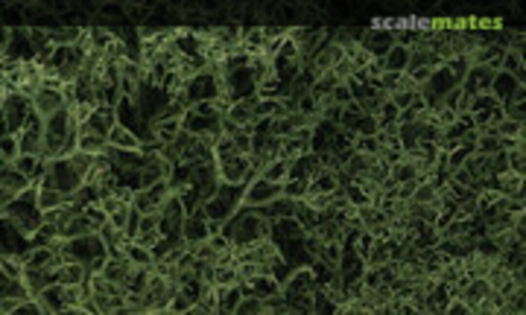 1:160 LICHEN MEDIUM GREEN (Woodland Scenics L163) L163