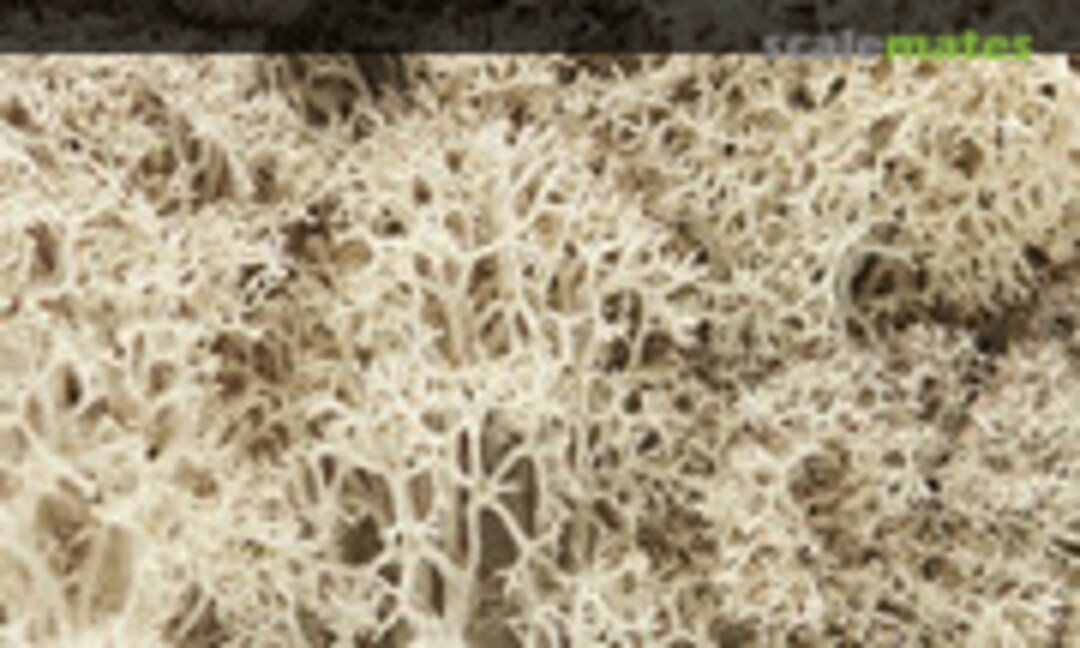 1:160 LICHEN NATURAL (Woodland Scenics L166) L166