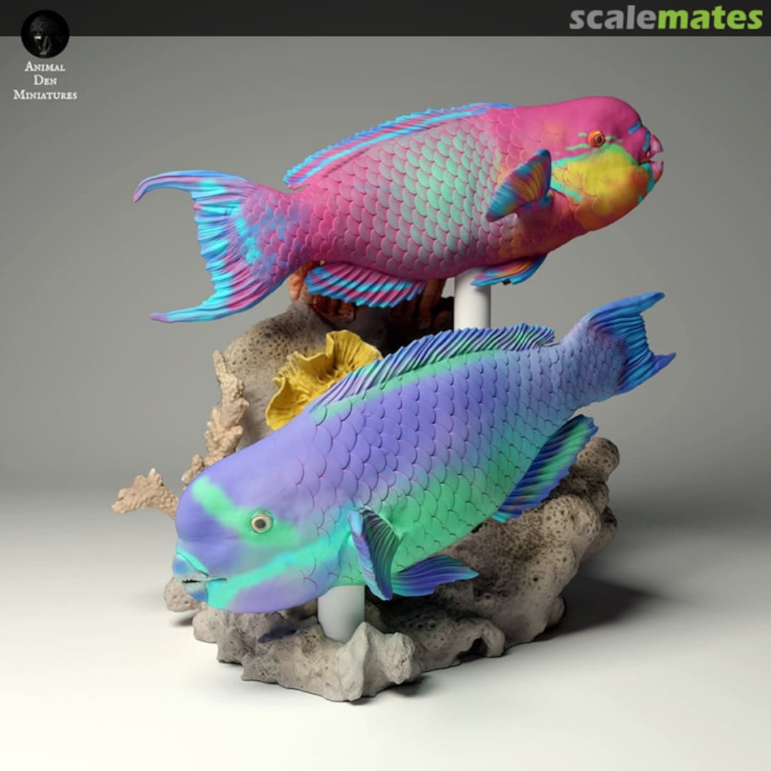 Boxart Fish - steephead parrotfish - 4-5 mm (12 pieces) 99161104-04 EMP3d Boxart Fish - steephead parrotfish - 4-5 mm (12 pieces) 99161104-04 EMP3d