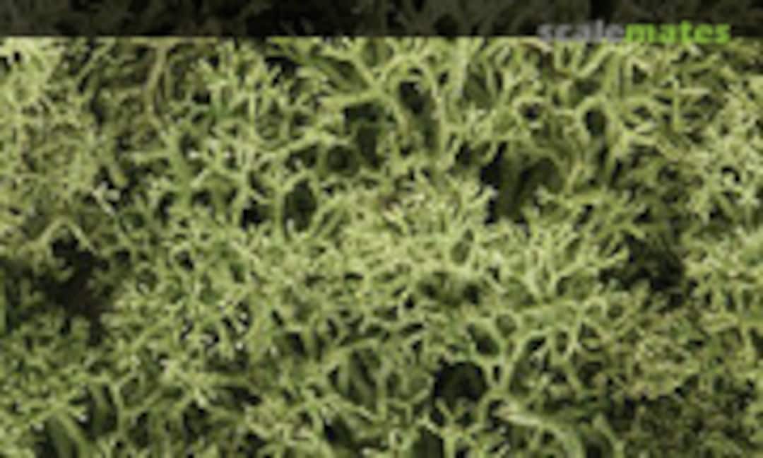1:160 LICHEN SPRING GREEN (Woodland Scenics L161) L161