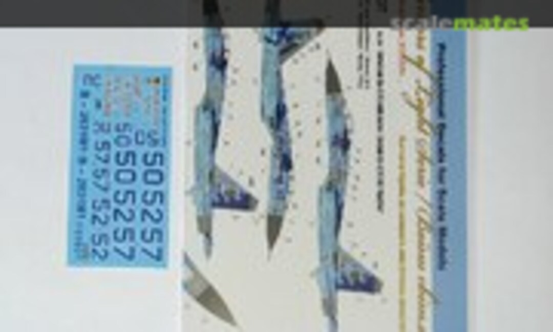 1:48 Sukhoi Su-27 with Name (Foxbot 48-037) 48-037