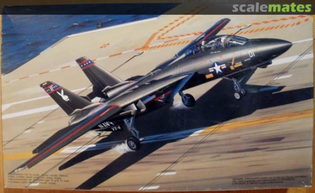 Boxart Grumman F-14A Tomcat 28018 Fujimi Boxart Grumman F-14A Tomcat 28018 Fujimi