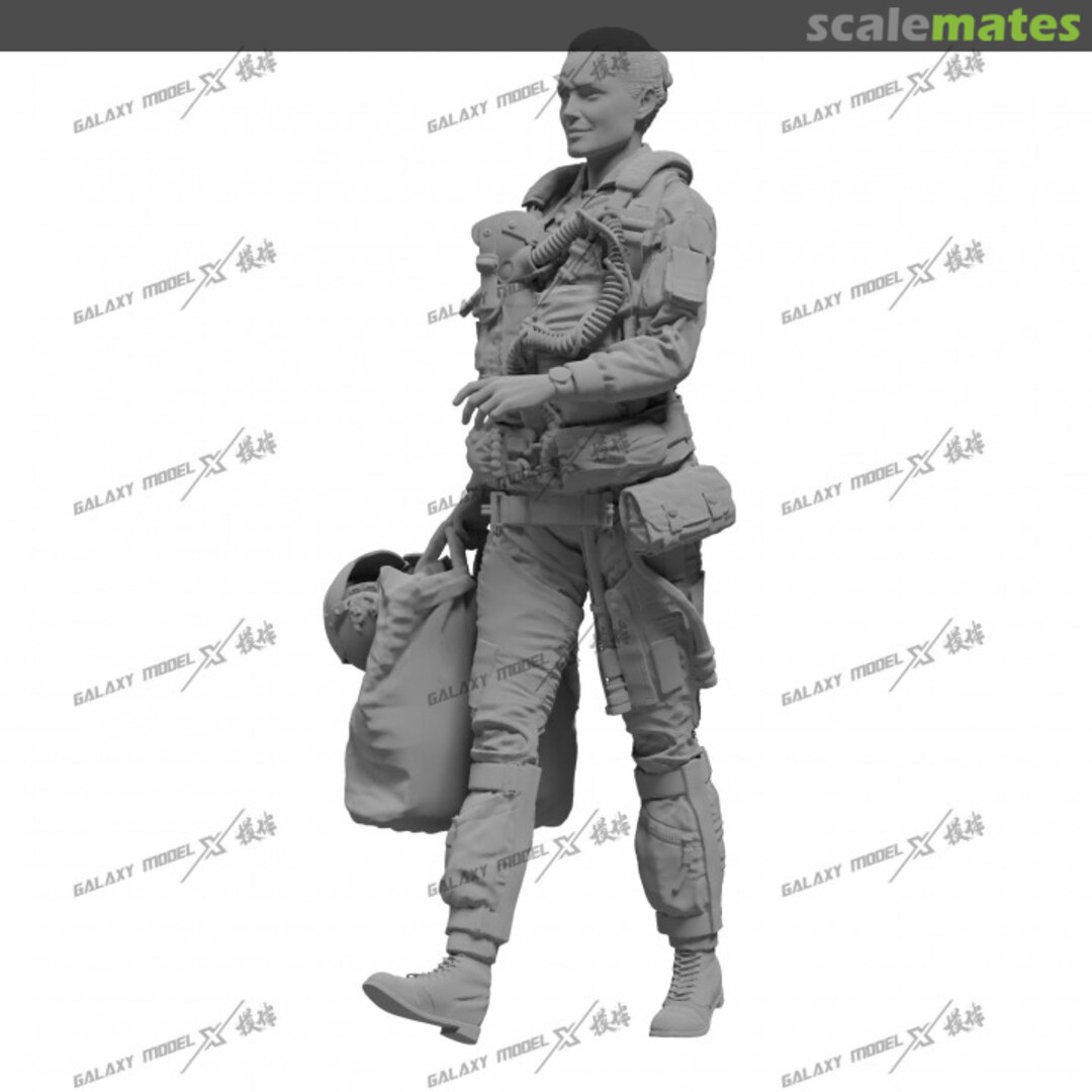 Boxart F-14 Pilot To be ad Galaxy Model Boxart F-14 Pilot To be ad Galaxy Model