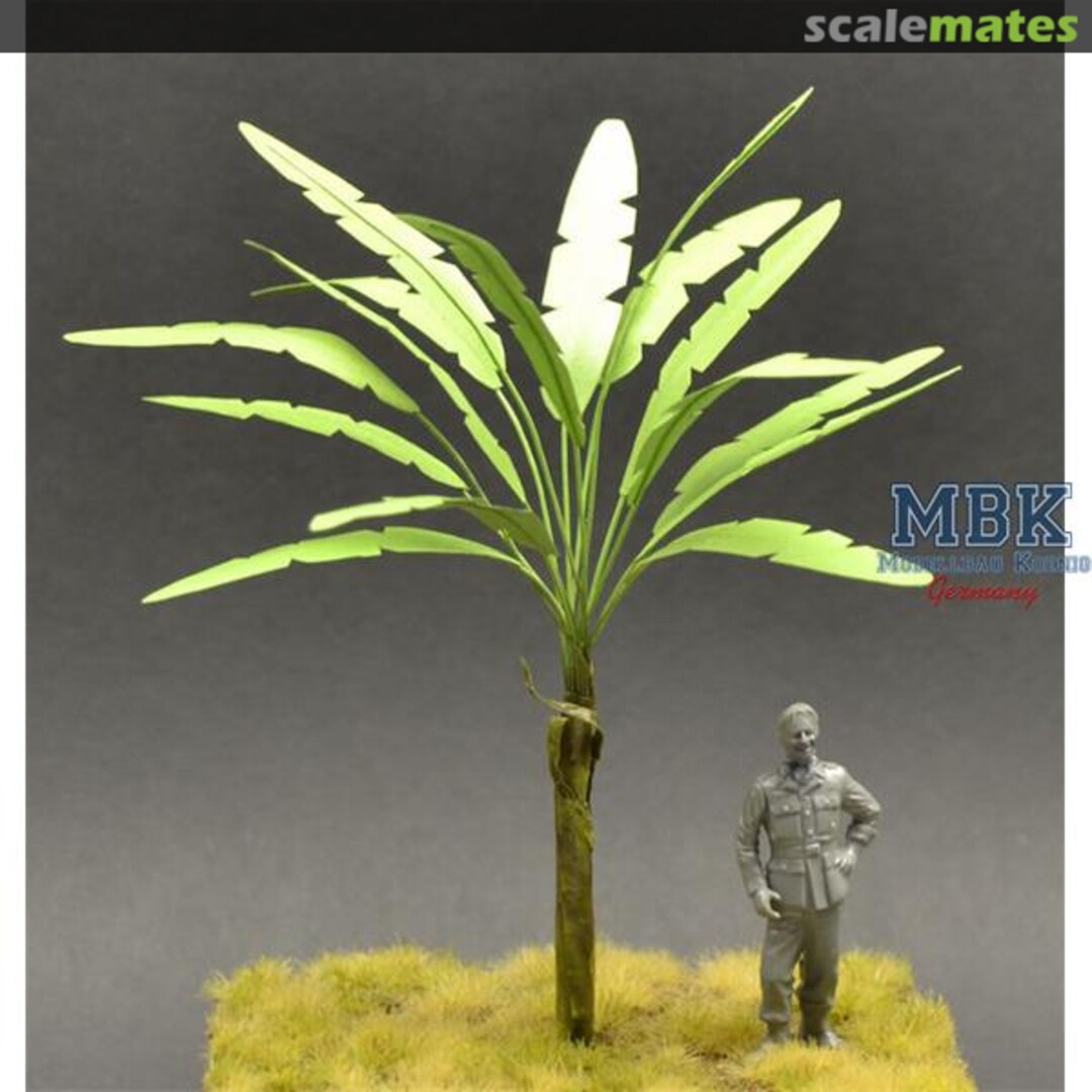 Boxart Banana Tree, green leaves - 15cm PALM16 Reality in Scale