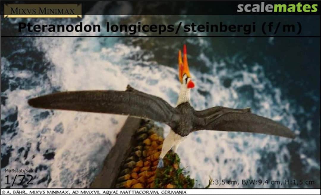 Boxart Pteranodon longiceps/steinbergi (f/m) B02 Mixvs Minimax