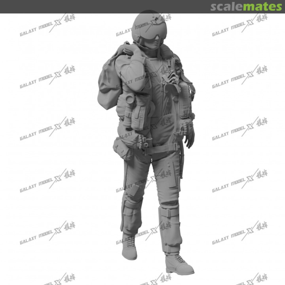 Boxart F-14 Pilot To be ad Galaxy Model Boxart F-14 Pilot To be ad Galaxy Model