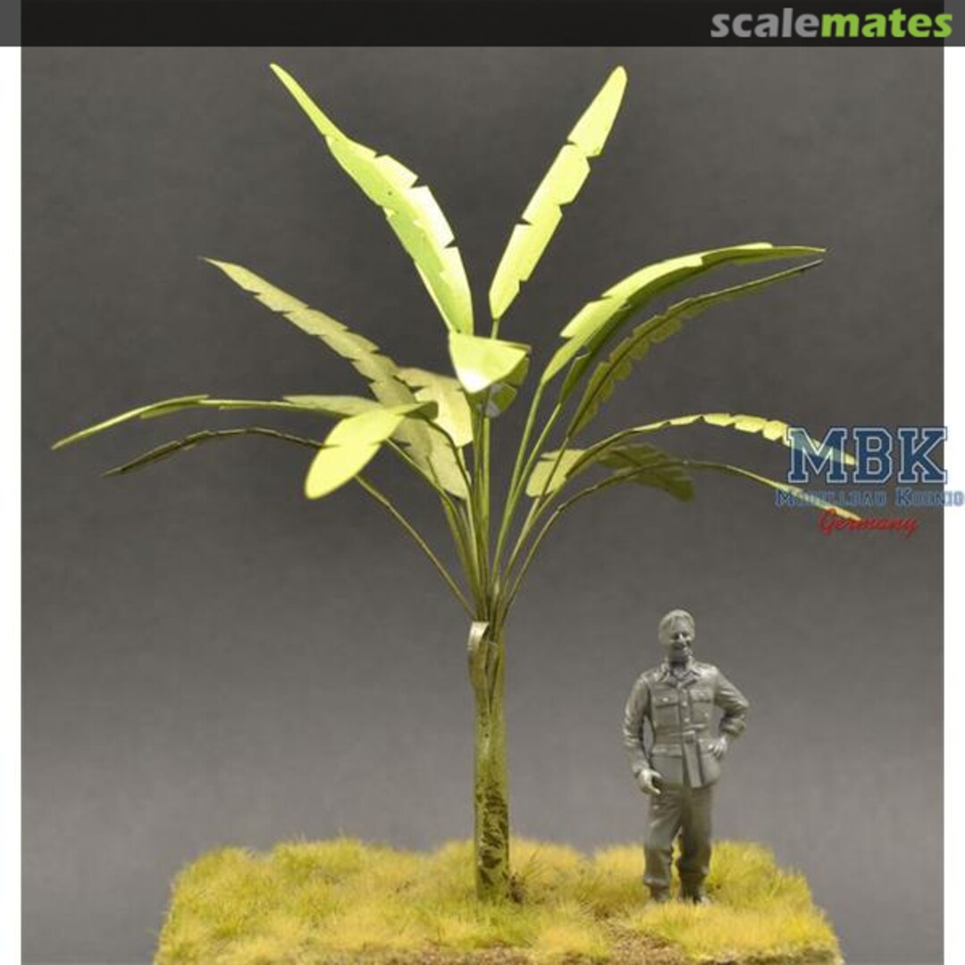 Boxart Banana Tree, faded, yellow/brown leaves - 15cm PALM17 Reality in Scale