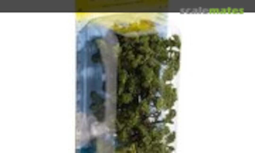 No Lime Tree (Noch 21780) 21780