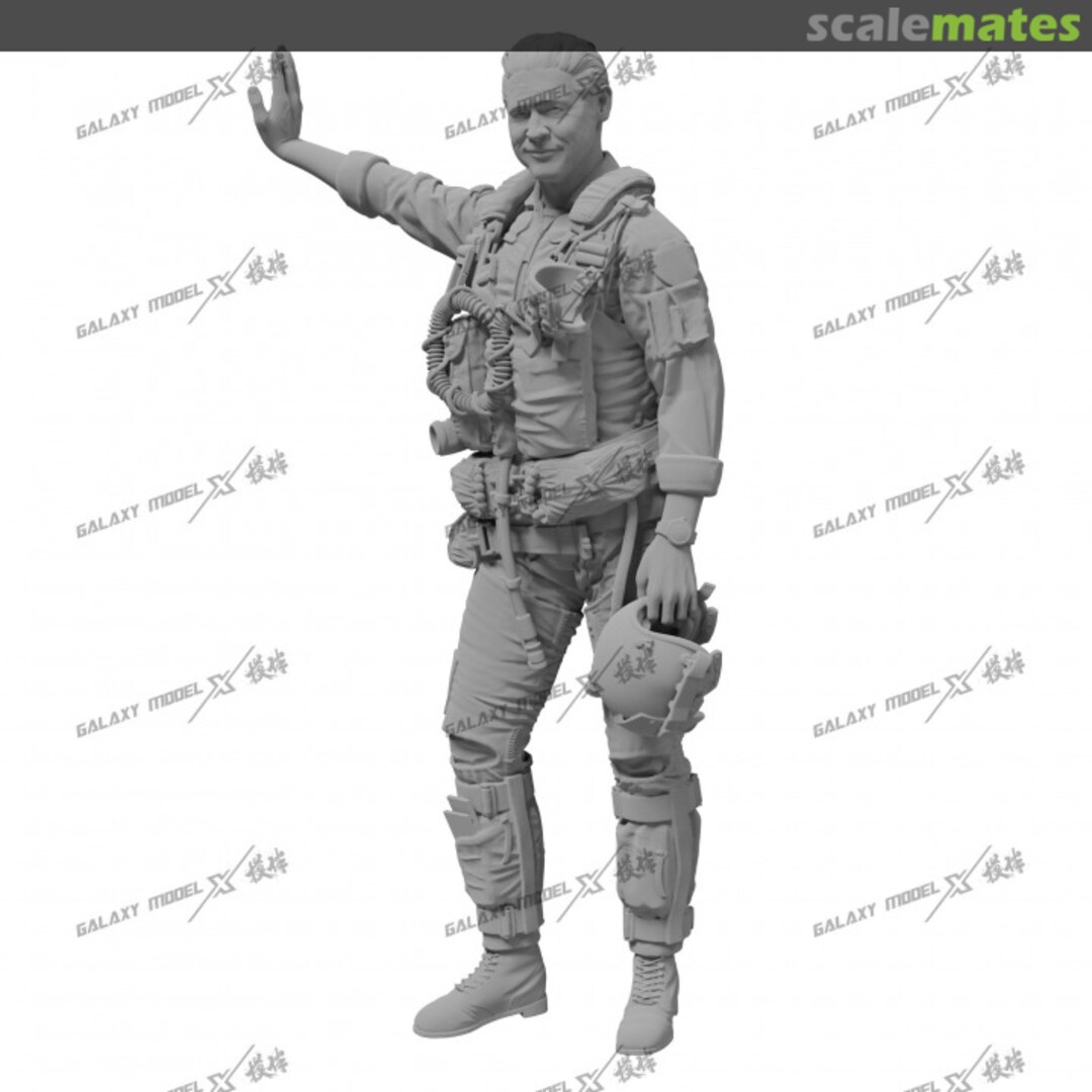 Boxart F14 Pilot To be ad Galaxy Model Boxart F14 Pilot To be ad Galaxy Model