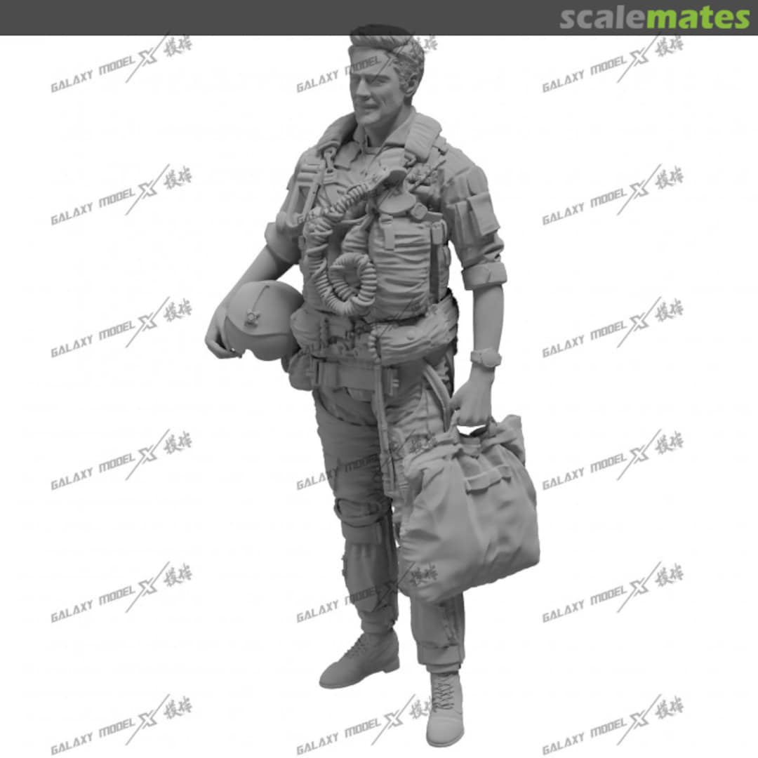 Boxart F-14 Pilot To be ad Galaxy Model Boxart F-14 Pilot To be ad Galaxy Model