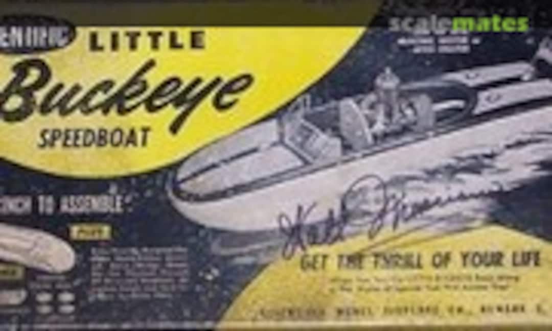 No Little Buckeye (Scientific )