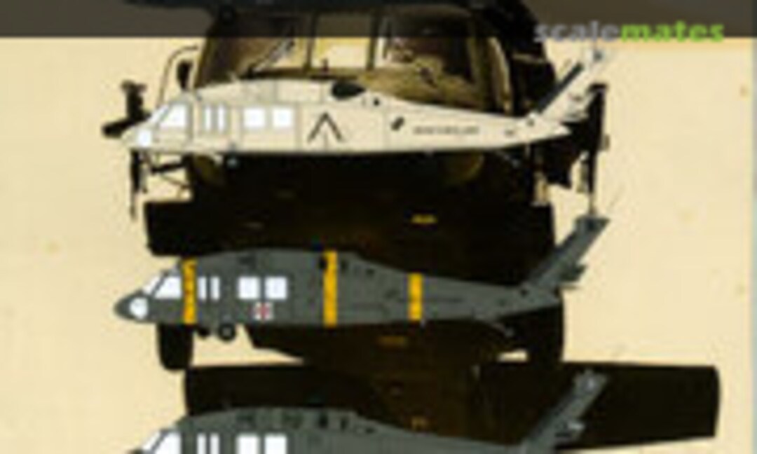 1:48 Blackhawks (Werner's Wings WW Decals 48-03) WW Decals 48-03