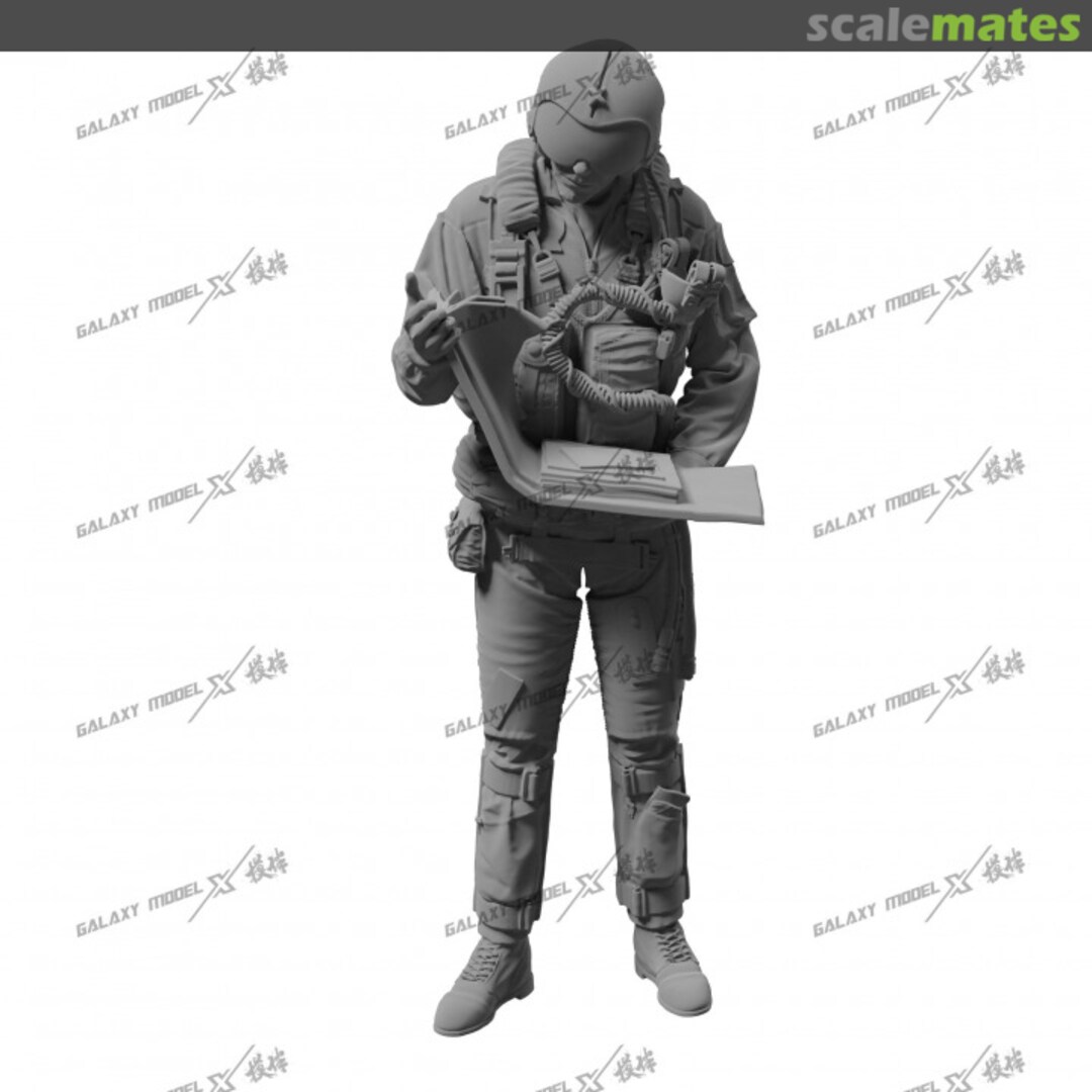 Boxart F-14 Pilot / RIO To be ad Galaxy Model Boxart F-14 Pilot / RIO To be ad Galaxy Model