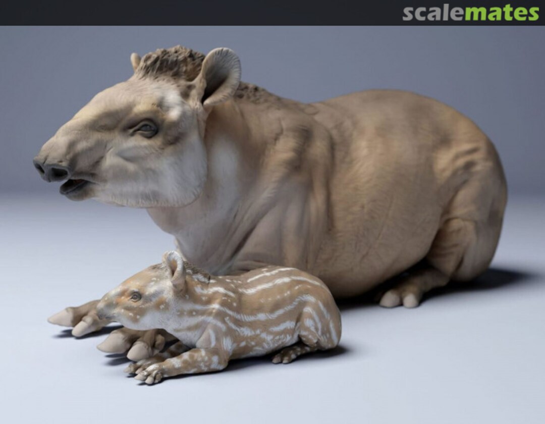 Boxart American tapir - female with calf - lying down 72130256 EMP3d Boxart American tapir - female with calf - lying down 72130256 EMP3d