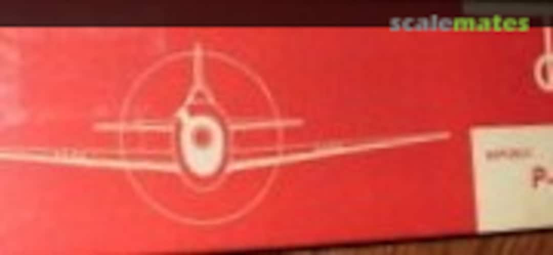 1:48 Republic P-47 Thunderbolt (Dyna Model Products )