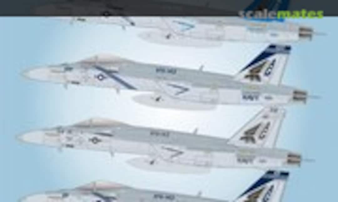 1:32 F/A-18E Super Hornet VFA-143 Pukin Dogs of War (Fightertown Decals 32011) 32011