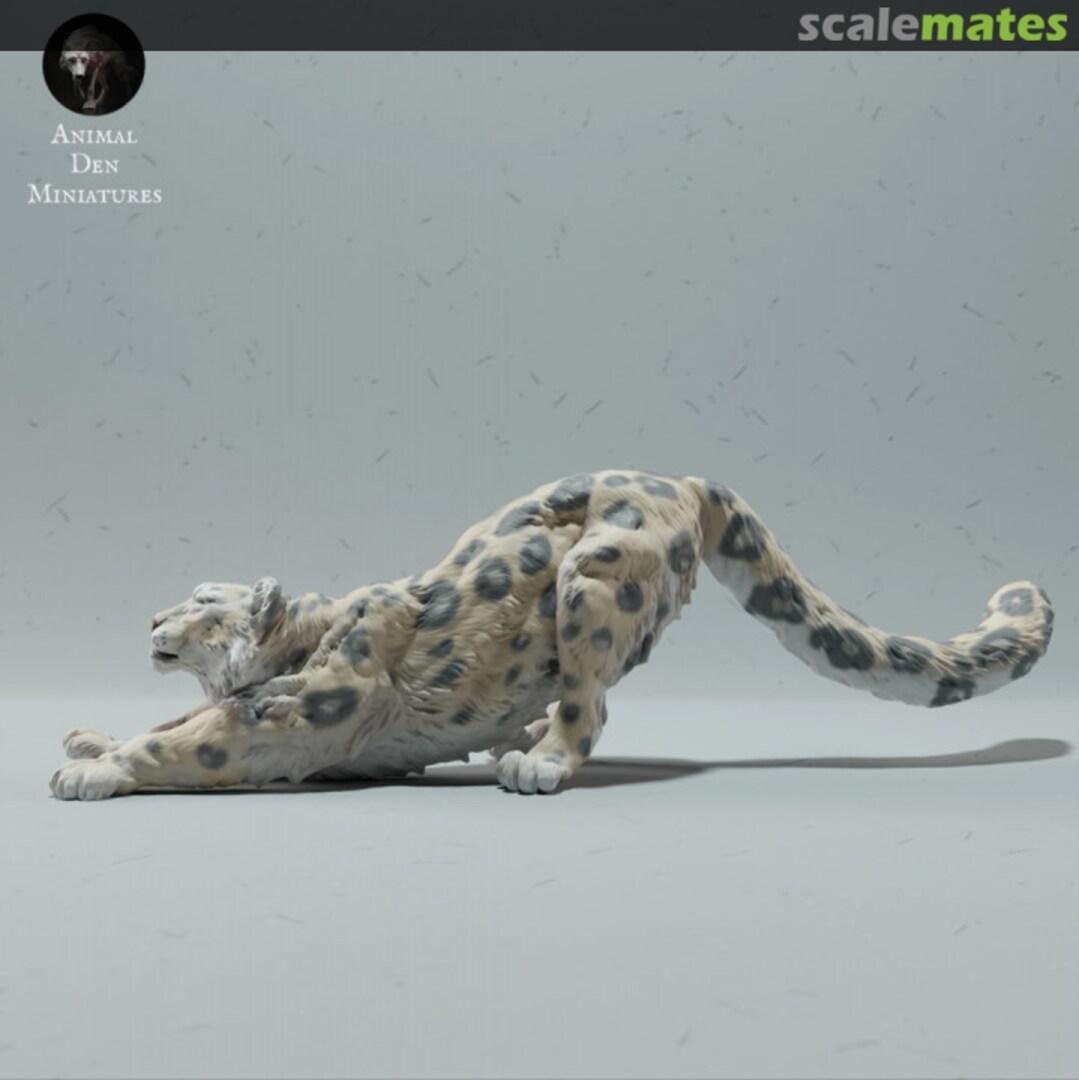 Boxart Snow Leopard - Stretching 35130216 EMP3d Boxart Snow Leopard - Stretching 35130216 EMP3d
