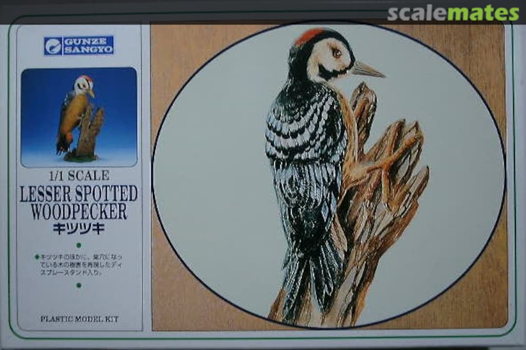Boxart Lesser Spotted Woodpecker GX1315 Gunze Sangyo Boxart Lesser Spotted Woodpecker GX1315 Gunze Sangyo