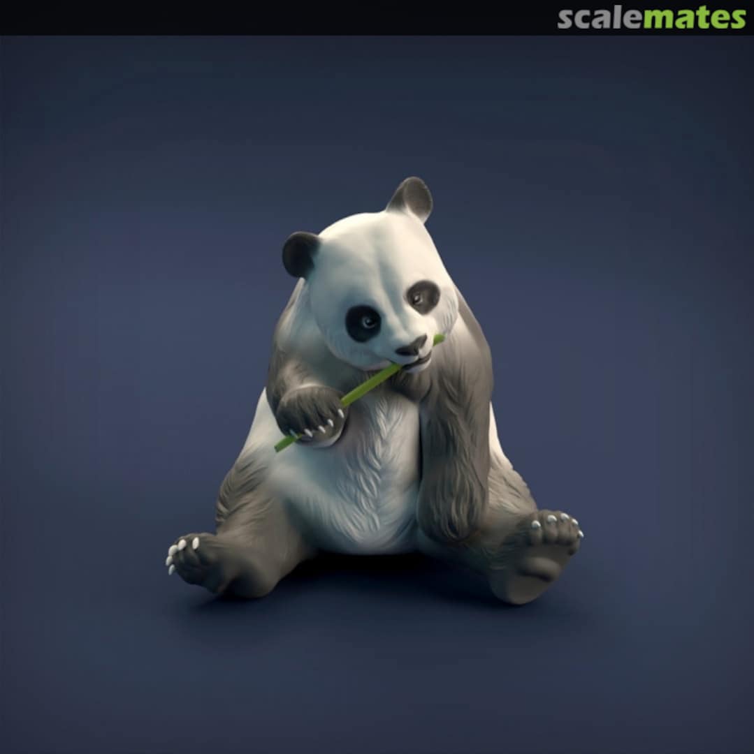 Boxart Giant Panda 35130220 EMP3d Boxart Giant Panda 35130220 EMP3d