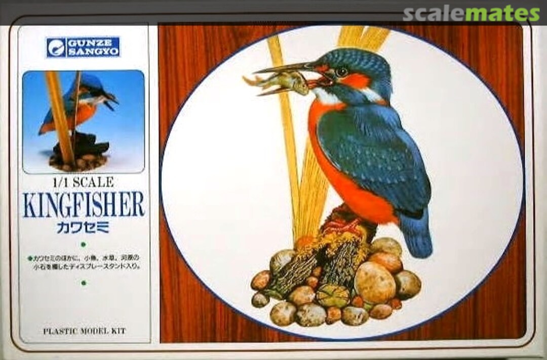 Boxart Kingfisher GX1311 Gunze Sangyo