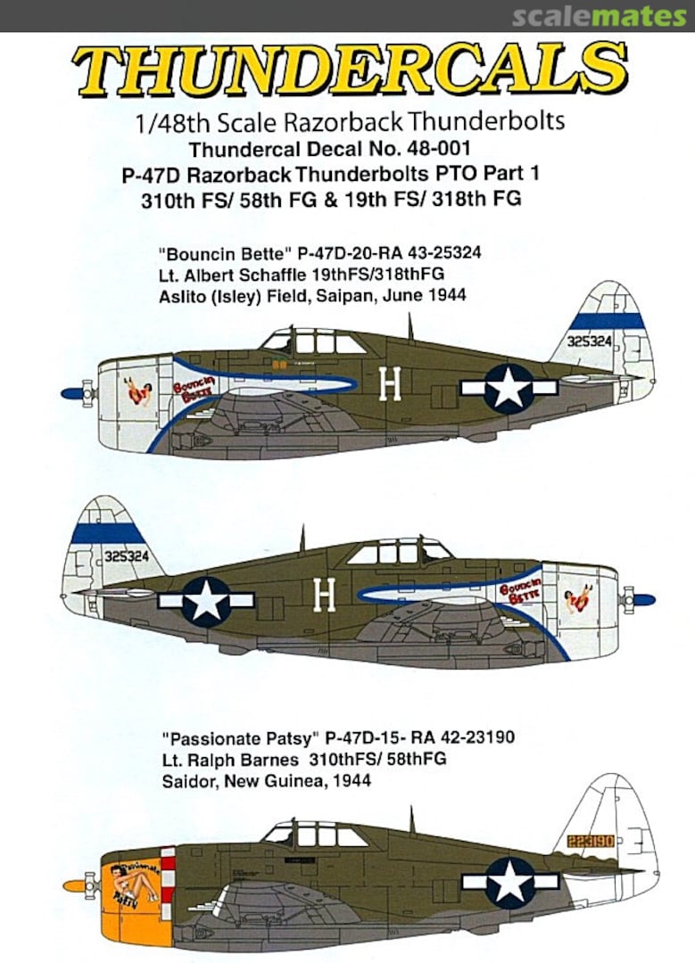 Boxart P-47D Razorback Thunderbolts PTO Part 1 TCA48001 ThunderCals Boxart P-47D Razorback Thunderbolts PTO Part 1 TCA48001 ThunderCals