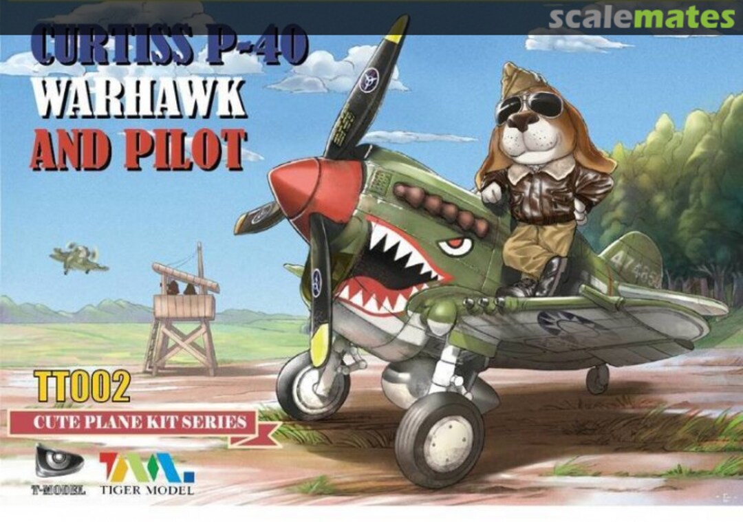 Boxart Curtiss P-40 Warhawk And Pilot TT002 Tiger Model Boxart Curtiss P-40 Warhawk And Pilot TT002 Tiger Model