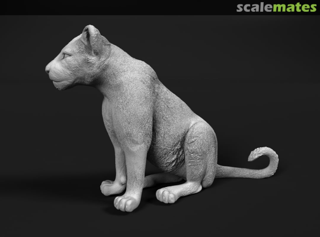 Boxart Lion Sitting Cub Lion Cub 1 miniNature Boxart Lion Sitting Cub Lion Cub 1 miniNature