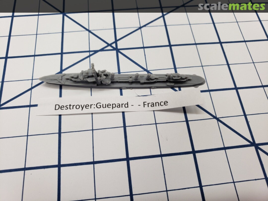 Boxart Destroyer - Guepard Class 1200-Guepard XP Forge