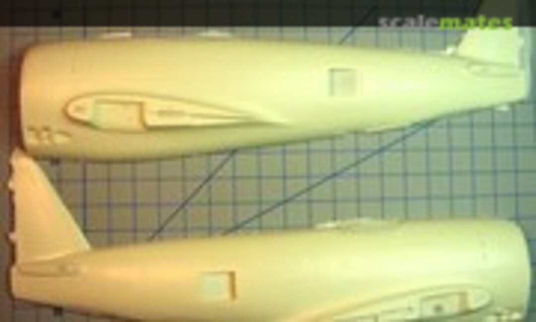 P-47N Thunderbolt (Jerry Rutman )