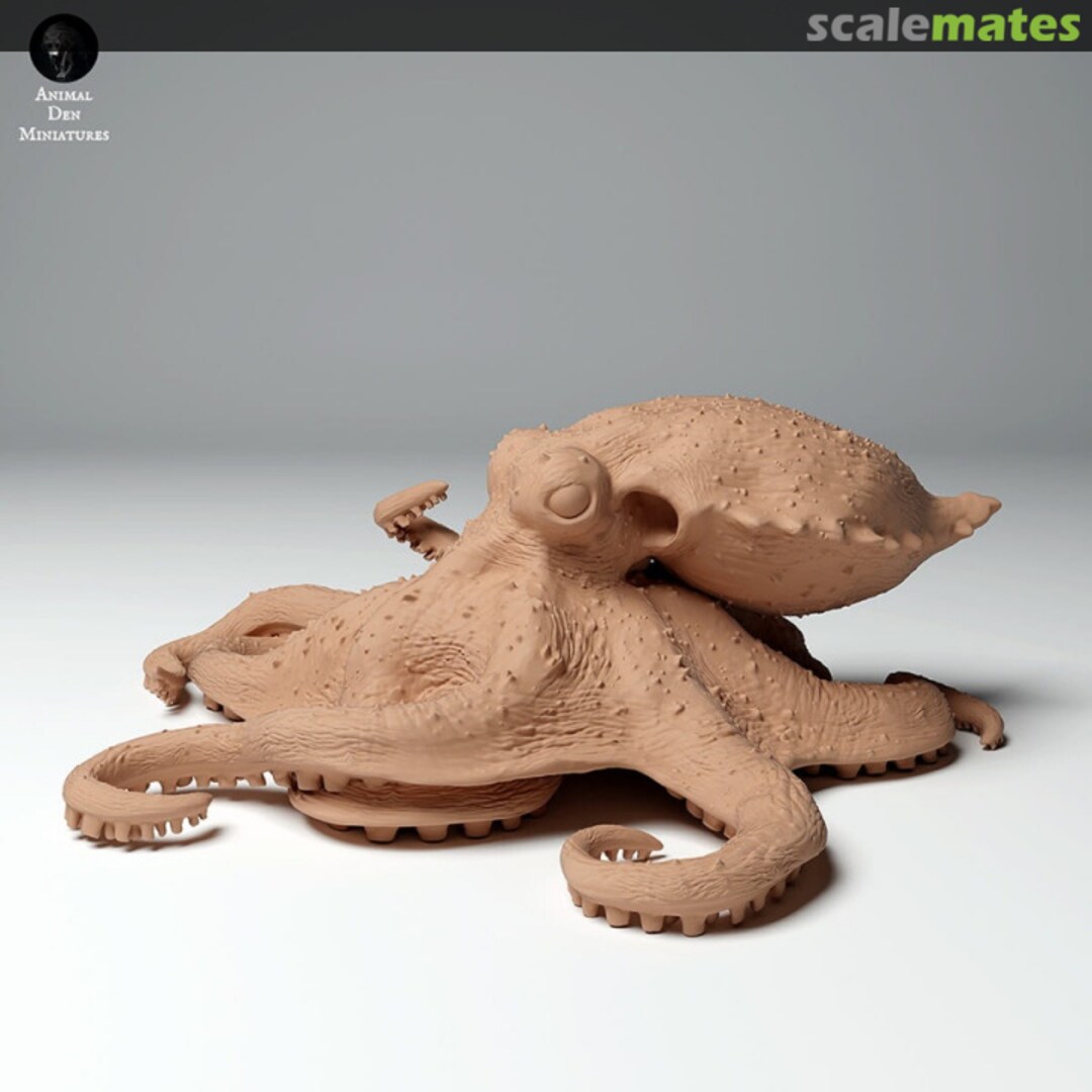 Boxart Blue ringed octopus - type 1 - 22.5-25mm 99161107-22 EMP3d Boxart Blue ringed octopus - type 1 - 22.5-25mm 99161107-22 EMP3d