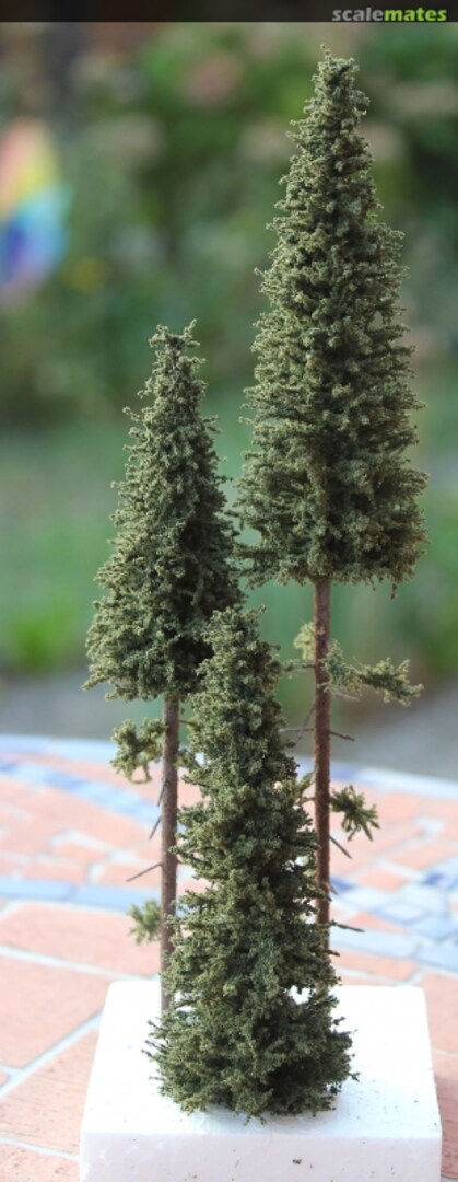 Boxart Spruces - Starter Pack Nr 2 SP002 Model Scene Boxart Spruces - Starter Pack Nr 2 SP002 Model Scene