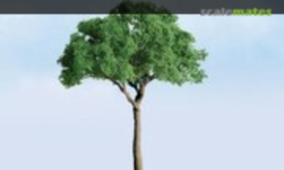 1:220 Green Jacaranda (JTT Scenery Products 94284) 94284