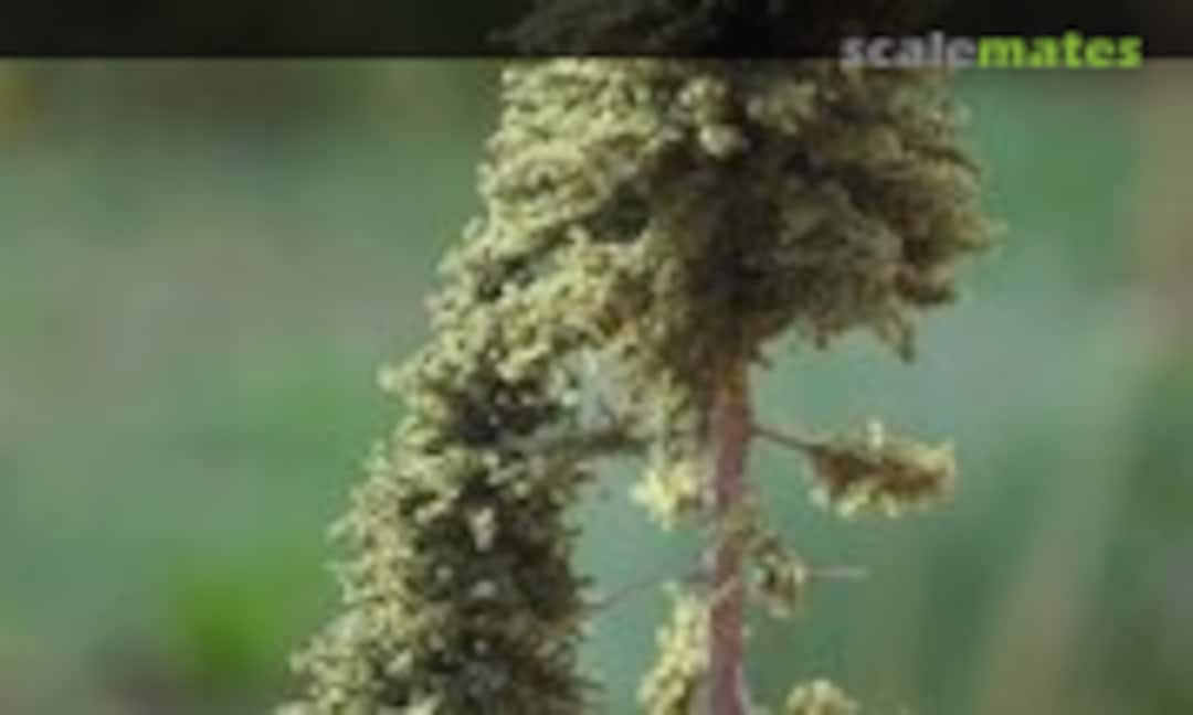 No Spruces - Starter Pack Nr 1 (Model Scene SP001) SP001