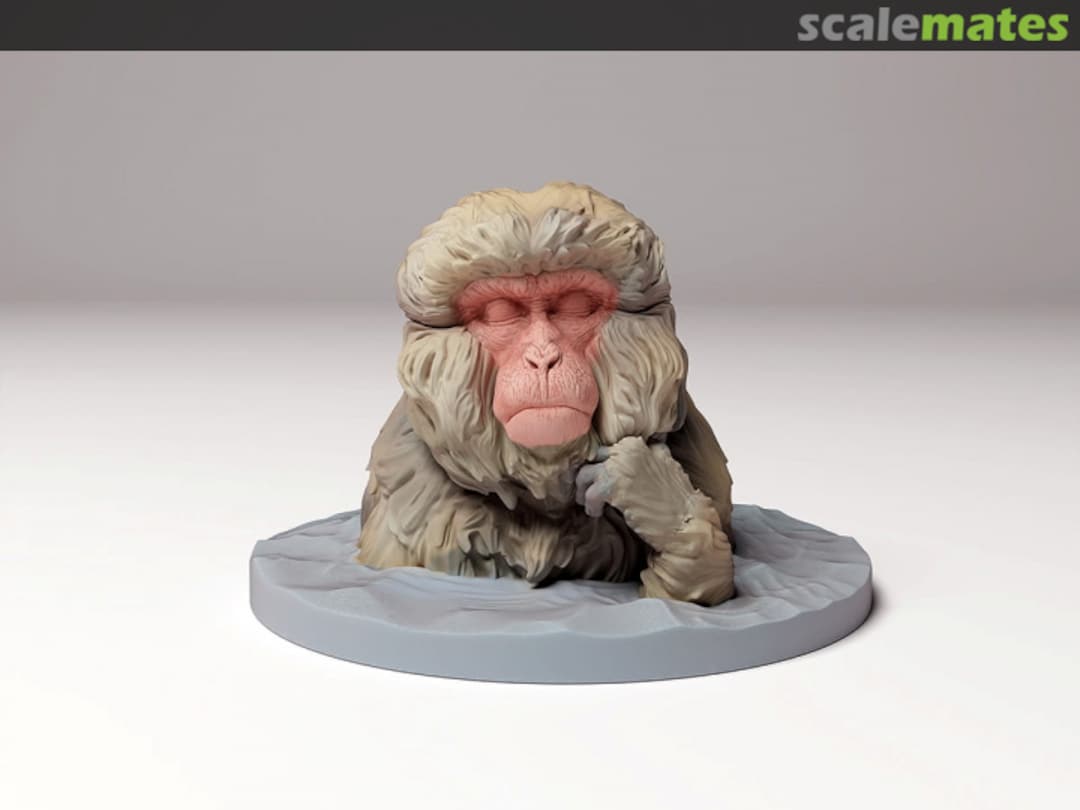 Boxart Snow monkey - Japanese macaque - bath 72130290 EMP3d Boxart Snow monkey - Japanese macaque - bath 72130290 EMP3d