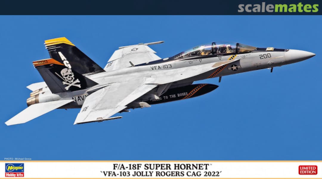 Boxart F/A-18F Super Hornet 02458 Hasegawa Boxart F/A-18F Super Hornet 02458 Hasegawa