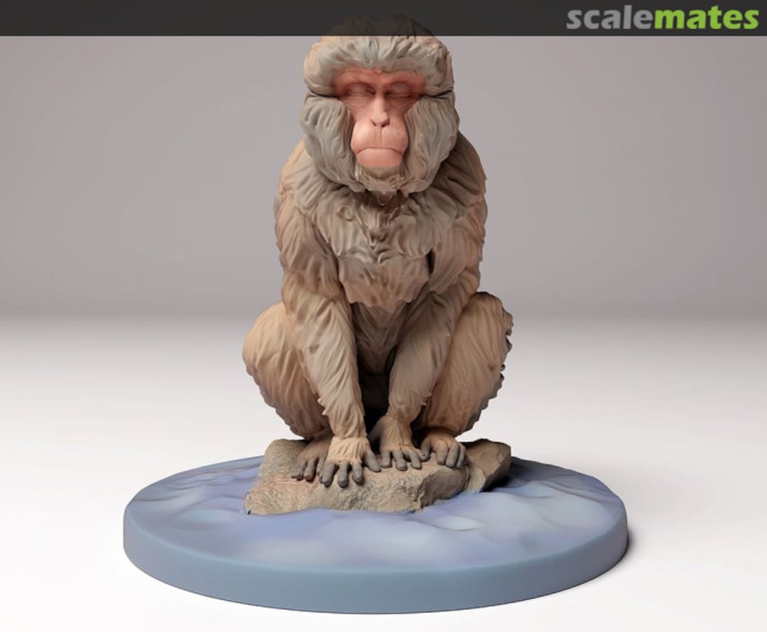 Boxart Snow monkey - sitting 72130293 EMP3d Boxart Snow monkey - sitting 72130293 EMP3d