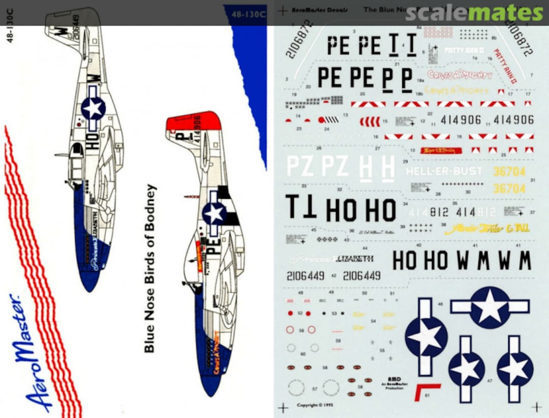 Boxart Blue Nose Birds of Bodney 48-130C AeroMaster Boxart Blue Nose Birds of Bodney 48-130C AeroMaster