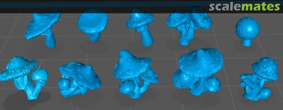 Boxart Spotted Mushrooms - 10 different pieces 99160129 EMP3d Boxart Spotted Mushrooms - 10 different pieces 99160129 EMP3d