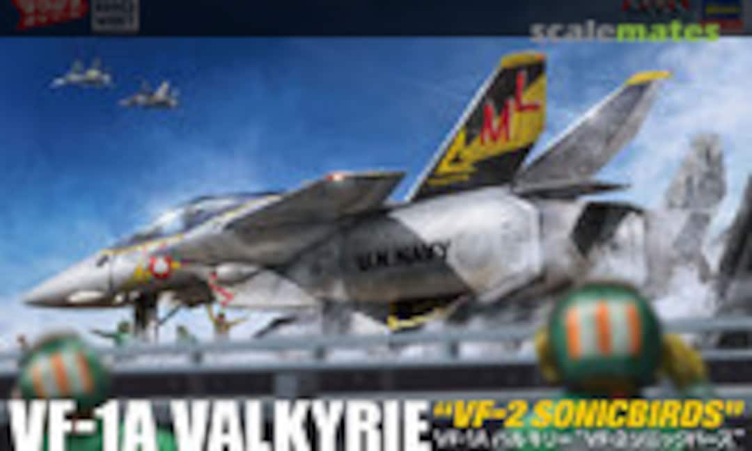 1:48 VF-1A Valkyrie &quot;VF-2 Sonicbirds&quot; (Hasegawa 65875)