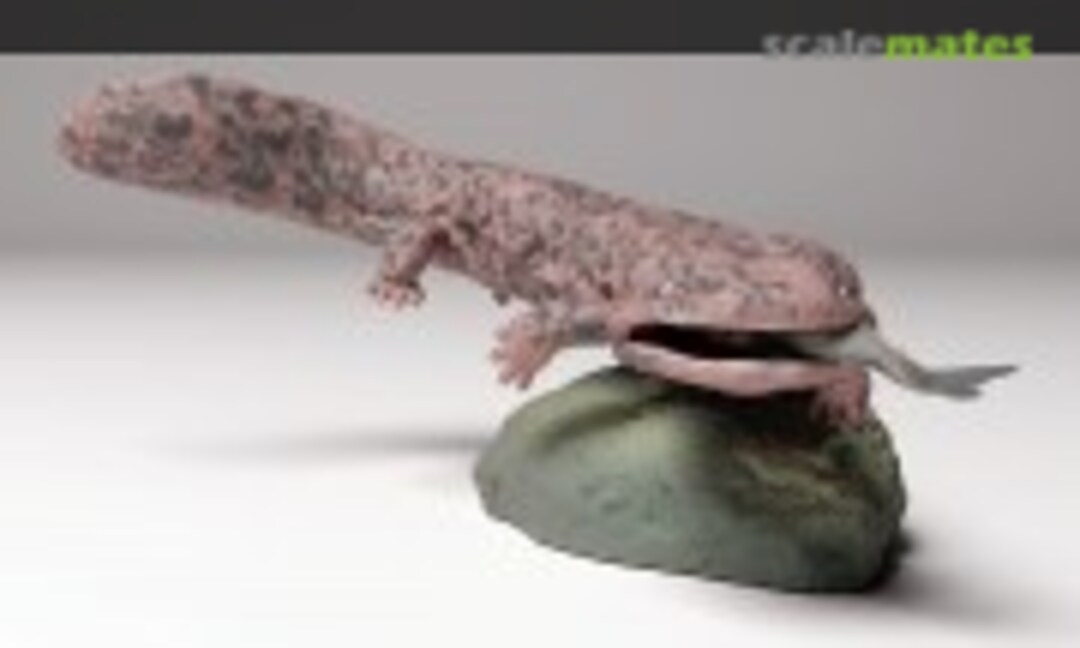 1:72 Japanese giant salamander with fish (1 pieces) (EMP3d 72130295) 72130295